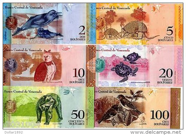 LOT SET SERIE 6 BILLETS VENEZUELA  ANIMAUX DAUPHIN OISEAU TORTUE HIBOU UNC NEUF - Autres - Amérique