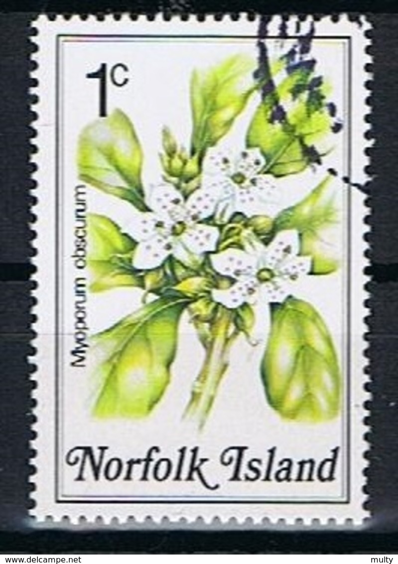 Norfolk Y/T 315 (0) - Norfolk Eiland