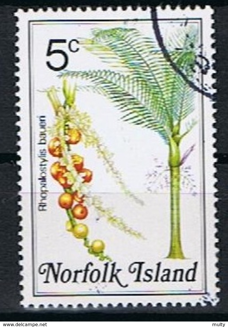 Norfolk Y/T 319 (0) - Ile Norfolk