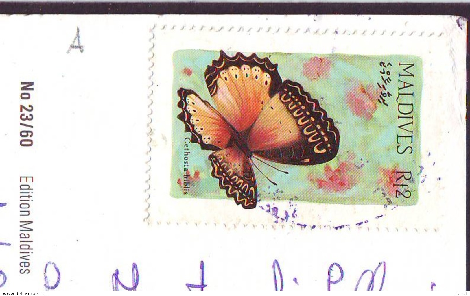 Butterfly Stamp  '80  Maldives On Postcard (a) - Maldive (1965-...)