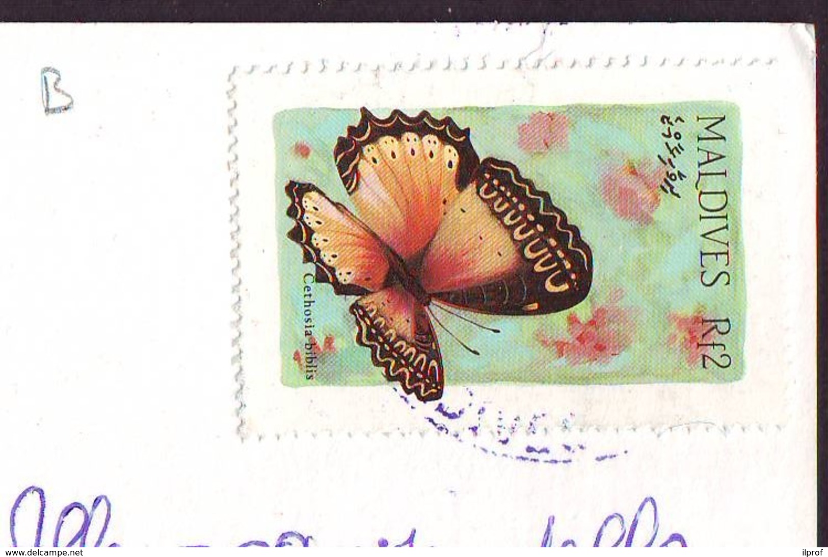 Butterfly Stamp  '80  Maldives On Postcard (b) - Maldive (1965-...)