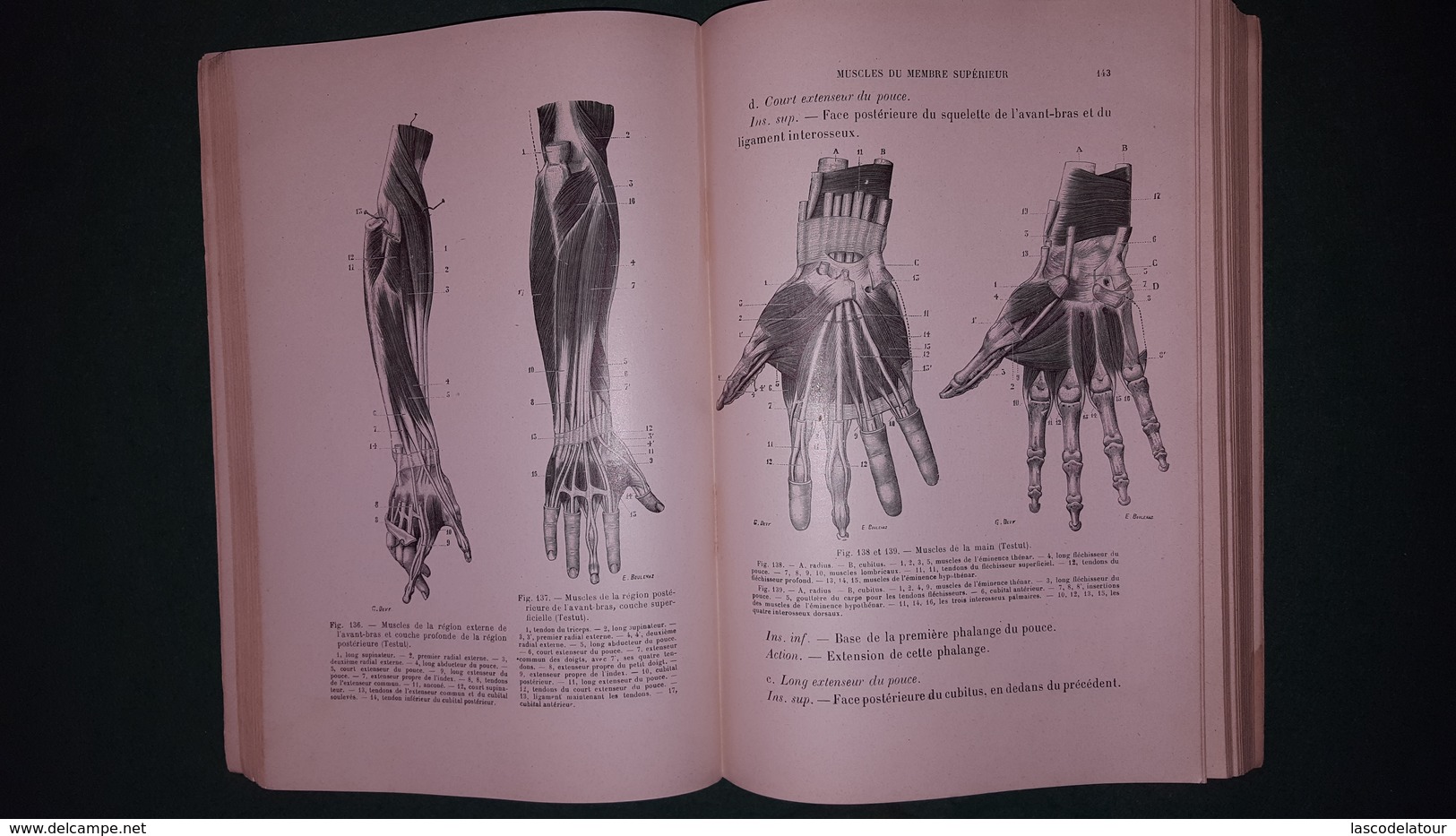 LE CORPS HUMAIN Par Le Dr DETTLING ANATOMIE Et PHYSIOLOGIE - 18 Ans Et Plus