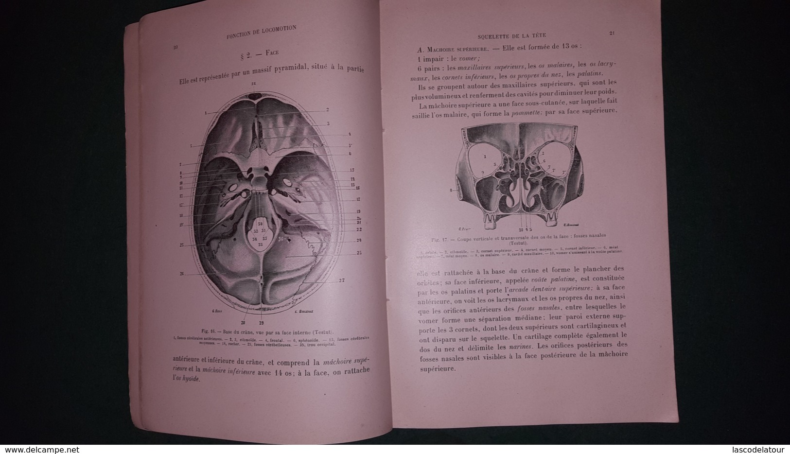 LE CORPS HUMAIN Par Le Dr DETTLING ANATOMIE Et PHYSIOLOGIE - 18 Años Y Más