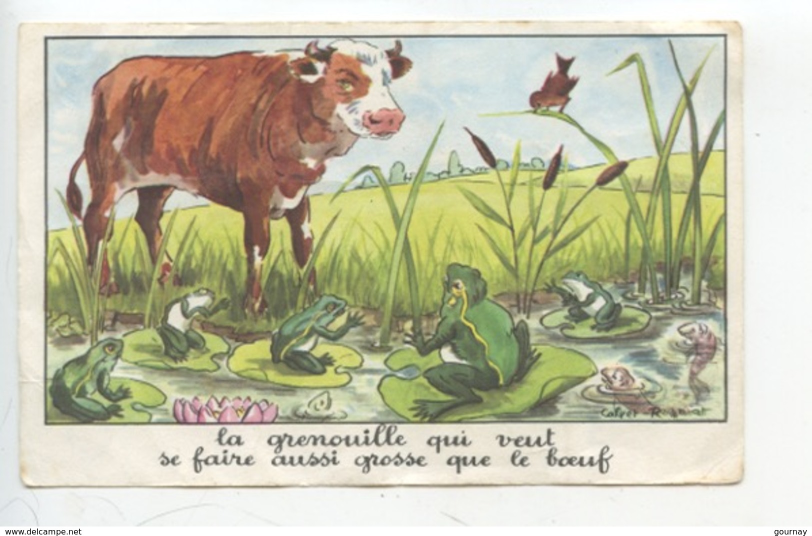 Jean De La Fontaine - Calvet-Rogniat : La Grenouille... Aussi Grosse Que Le Boeuf (éd éducatives Série D 14X9) - Fairy Tales, Popular Stories & Legends