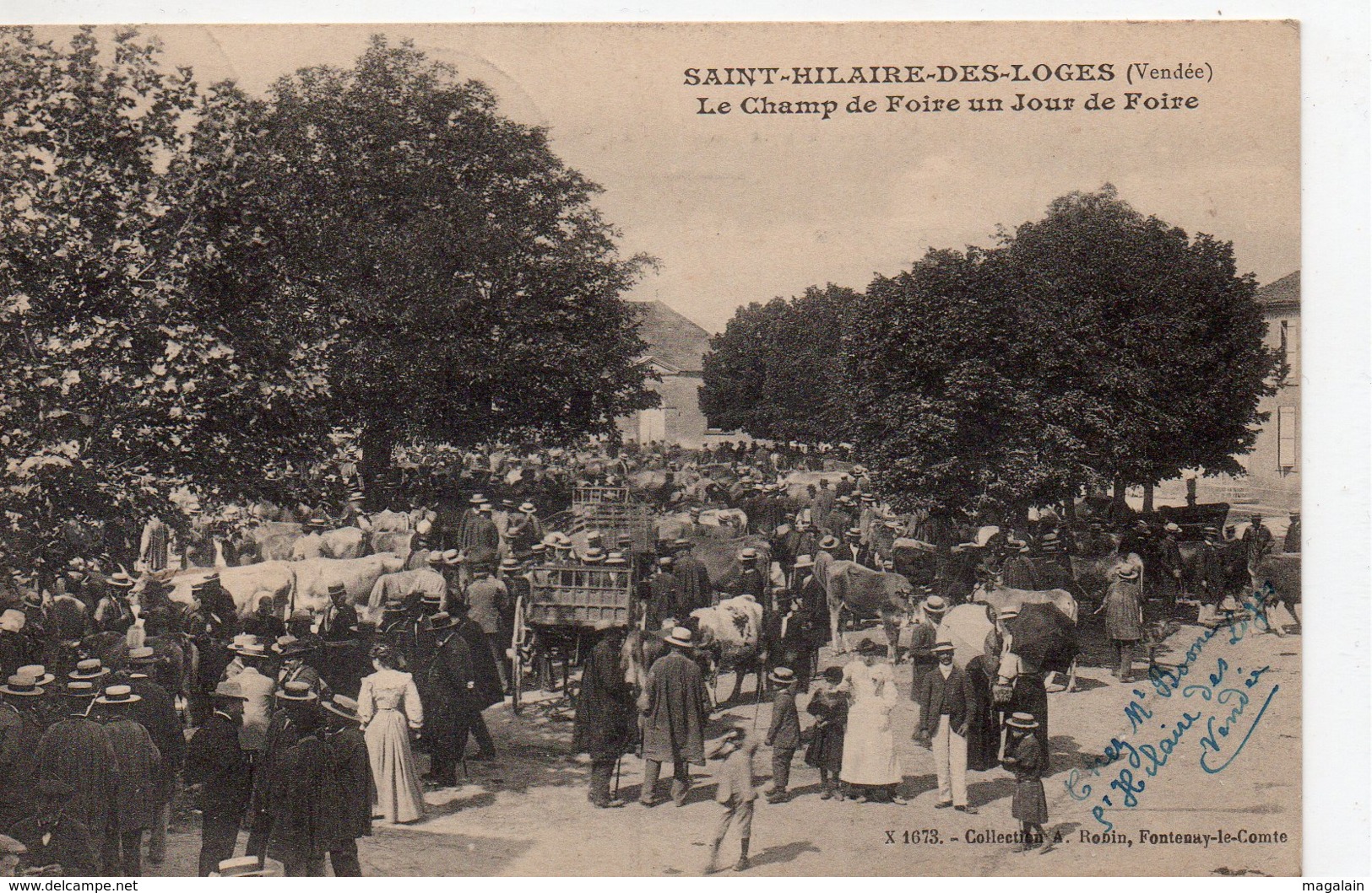 St Hilaire Des Loges : Le Champ De Foire Un Jour De Foire - Saint Hilaire Des Loges