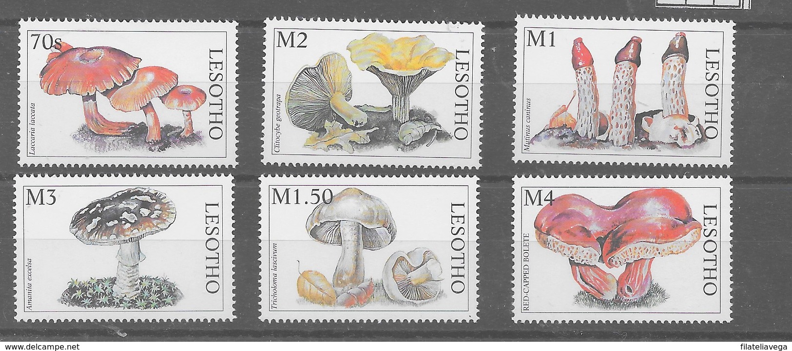 Serie De Lesotho Nº Yvert 1315/20 **  SETAS(MUSHROOMS) - Lesotho (1966-...)