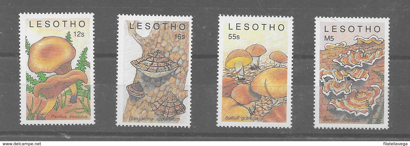 Serie De Lesotho Nº Yvert 852/55 **  SETAS (MUSHROOMS) - Hongos