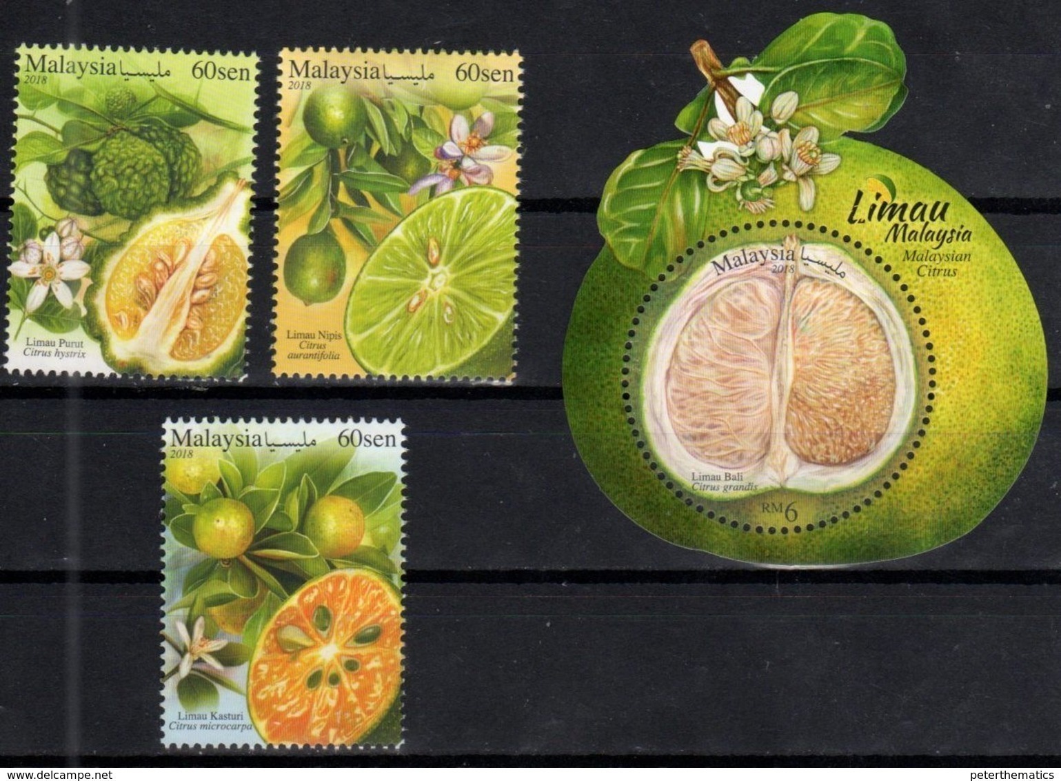 MALAYSIA, 2018, MNH, FRUIT, , TROPICAL FRUIT, 3v+ FRUIT-SHAPED S/SHEET - Fruits