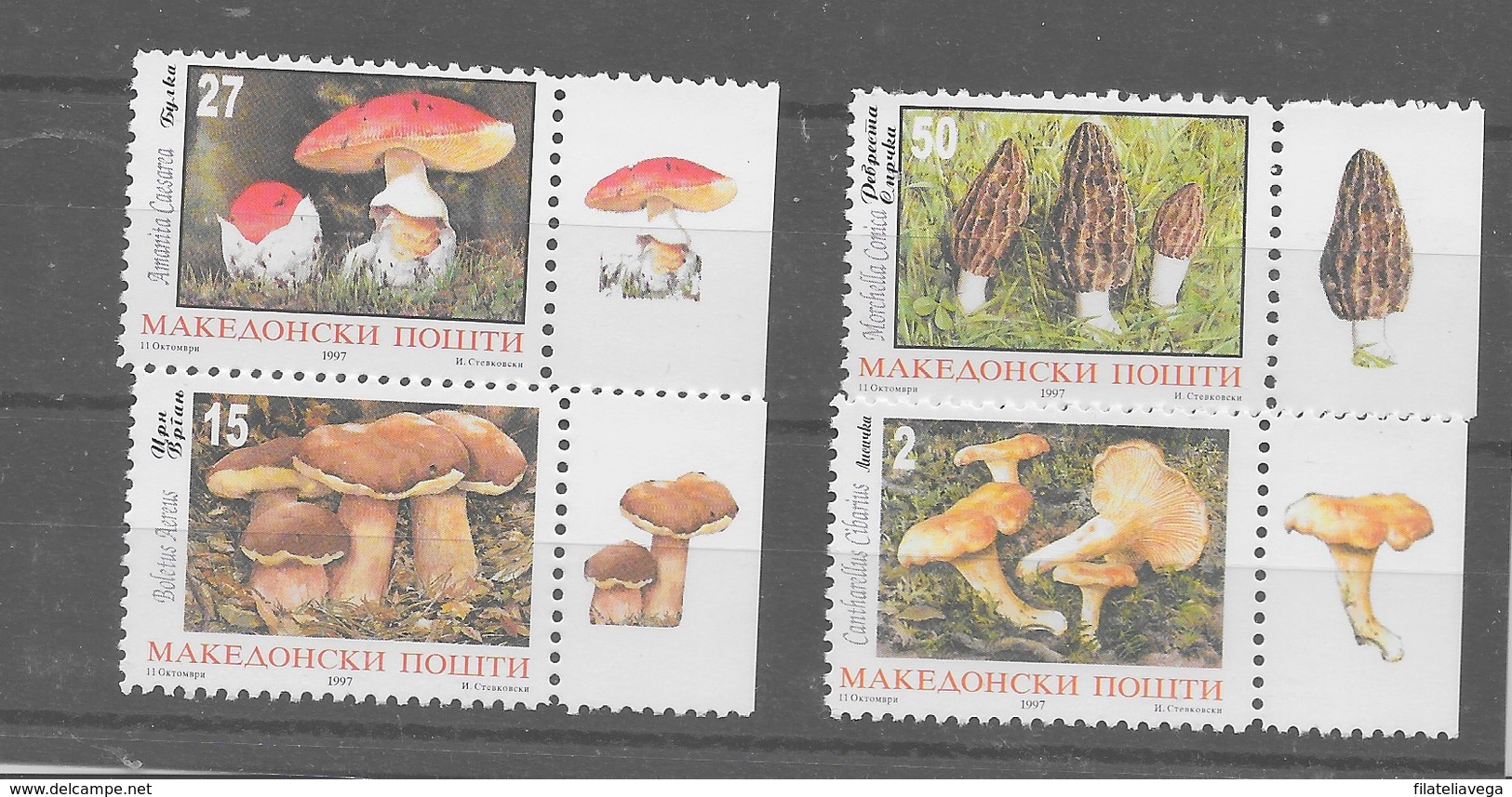 Serie De Macedonia Nº Yvert 105/08 ** SETAS (MUSHROOMS) - Macedonia Del Norte