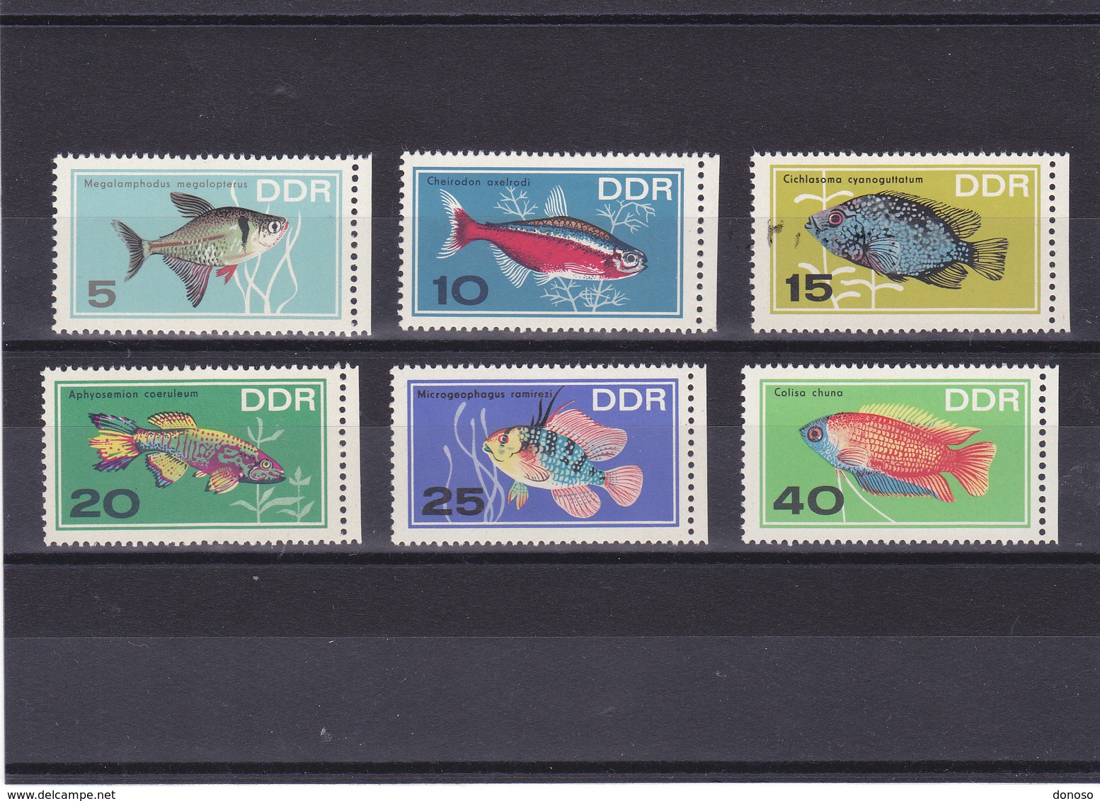 RDA 1966 POISSONS Yvert 920-925 NEUF** MNH - Neufs