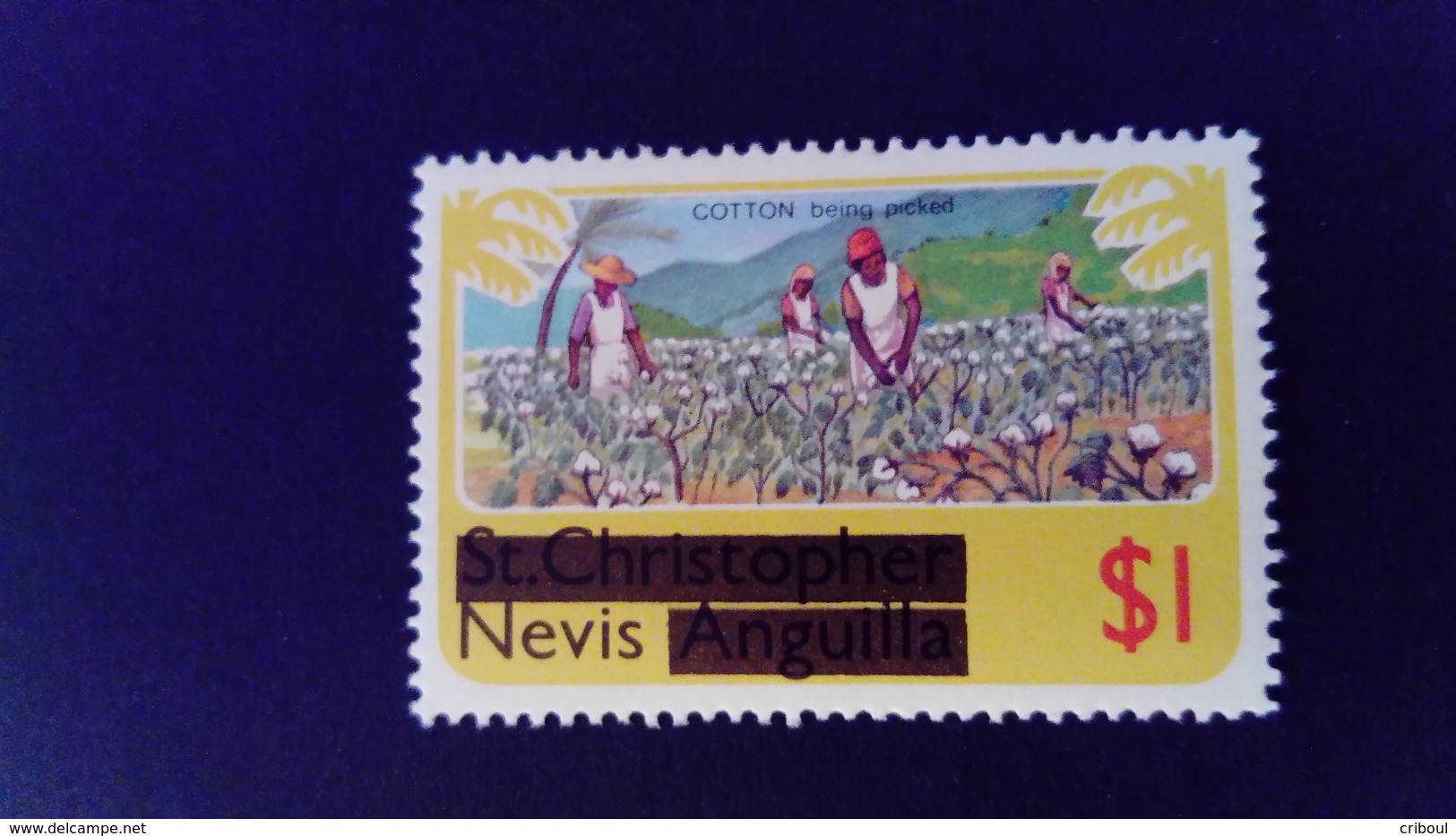 Nevis 1980 Agriculture Coton Cotton Timbre St Christophe Nevis Anguilla Surchargé Overprint Yvert 40 ** MNH - St.Christopher-Nevis-Anguilla (...-1980)