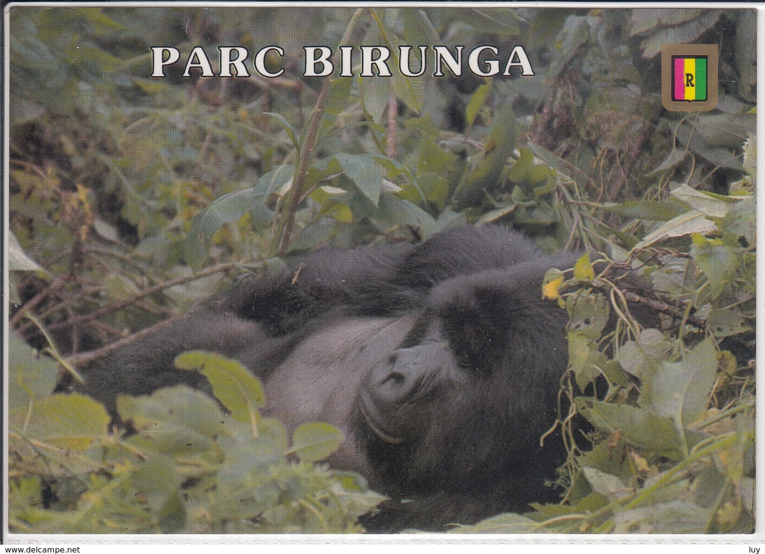 RWANDA RUANDA  PARC BIRUNGA GORILLE DE MONTAGNE; MOUNTAIN GORILLE  USED NICE STAMP - Rwanda