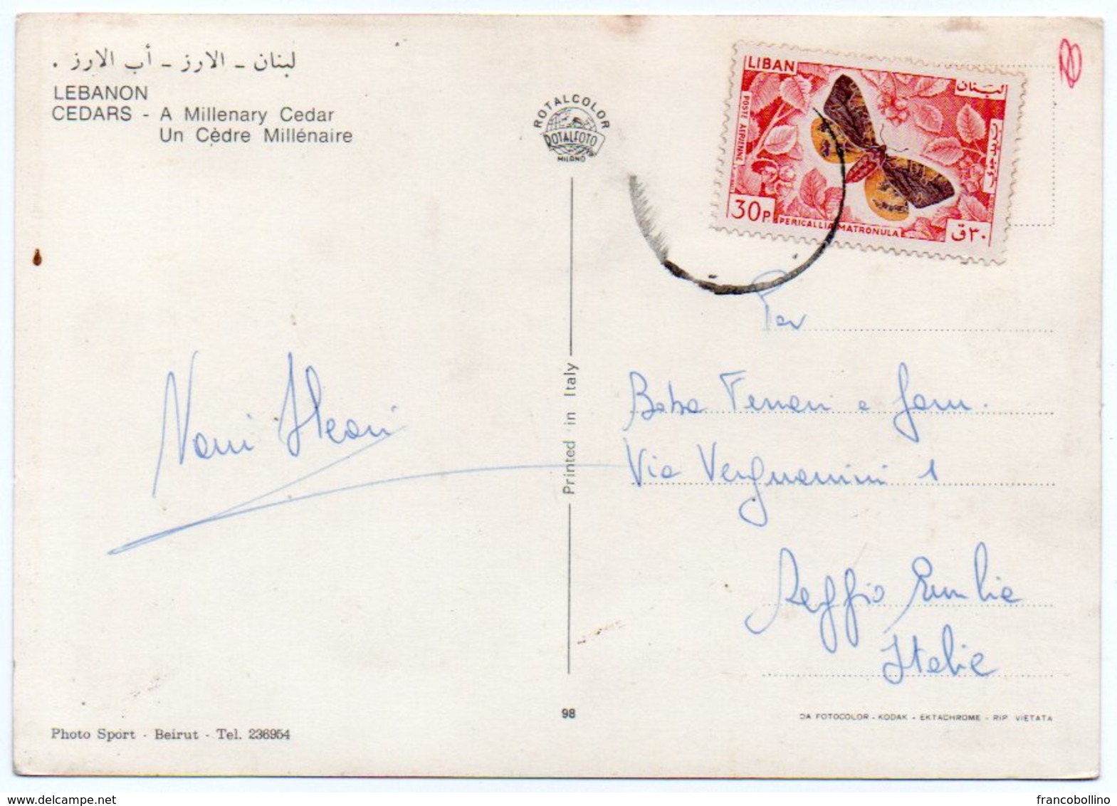 LIBAN/LEBANON - CEDRES / CEDARS - A MILLENARY CEDAR / THEMATIC STAMP-BUTTERFLY - Libanon