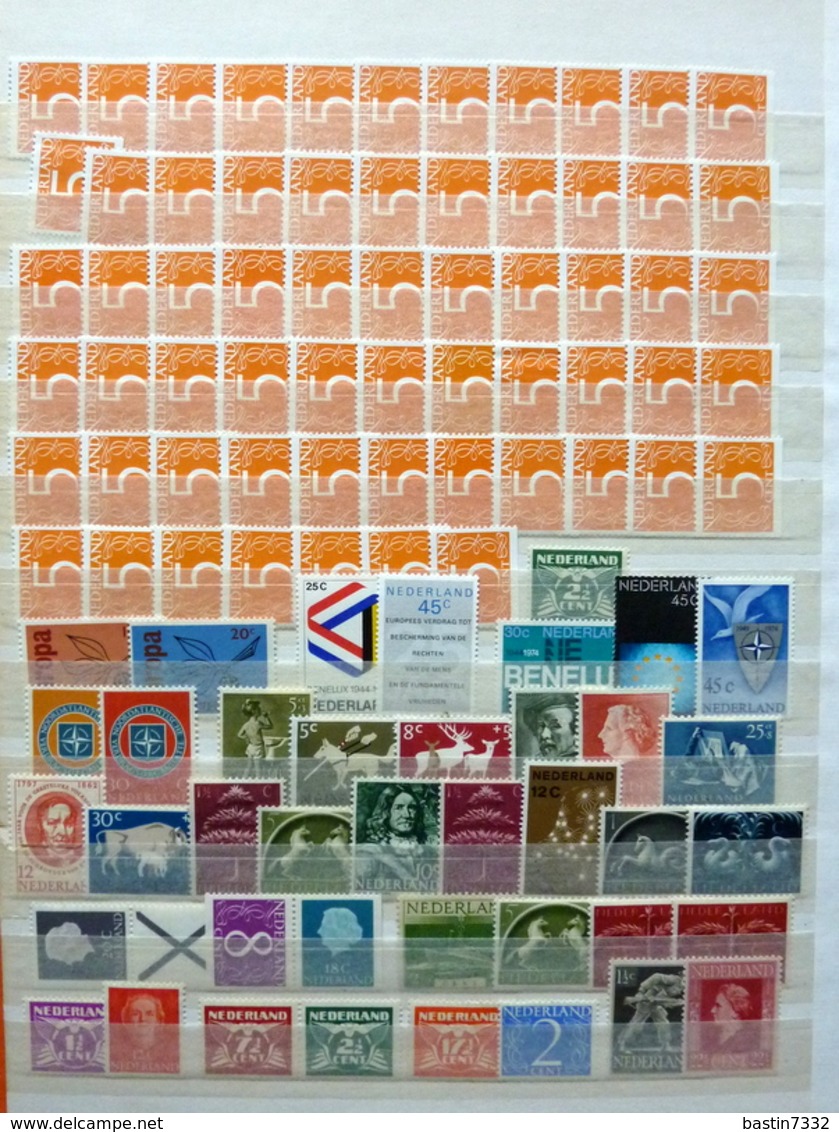 Netherlands/Pays-Bas/Holland collection in 4 stockbooks MNH/MH/Postfris/Ongebruikt/Neuf avec/sans charniere