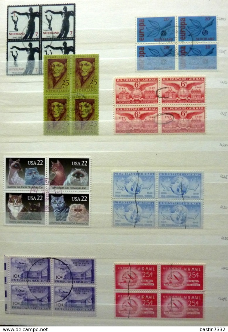 Netherlands/Pays-Bas/Holland collection in 4 stockbooks MNH/MH/Postfris/Ongebruikt/Neuf avec/sans charniere