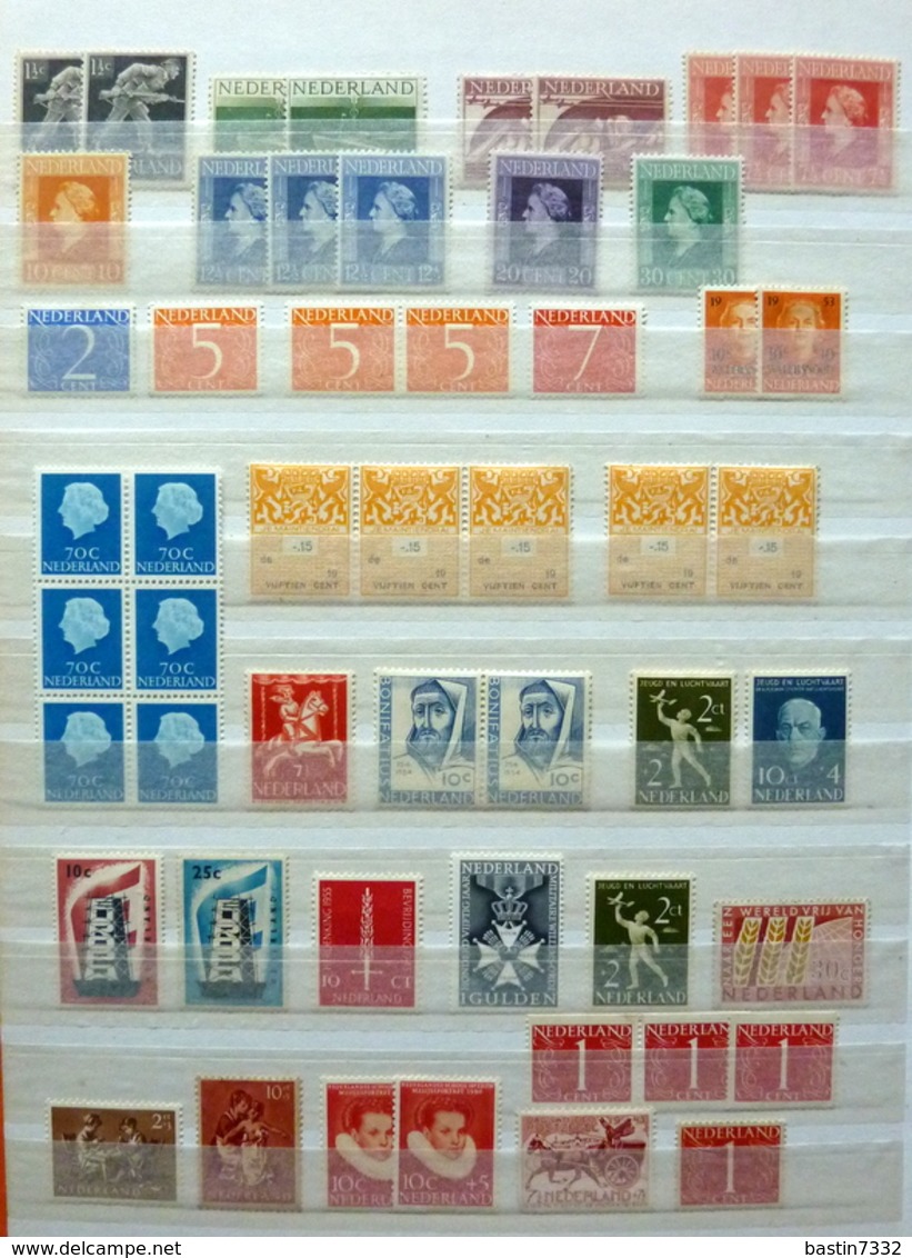 Netherlands/Pays-Bas/Holland collection in 4 stockbooks MNH/MH/Postfris/Ongebruikt/Neuf avec/sans charniere