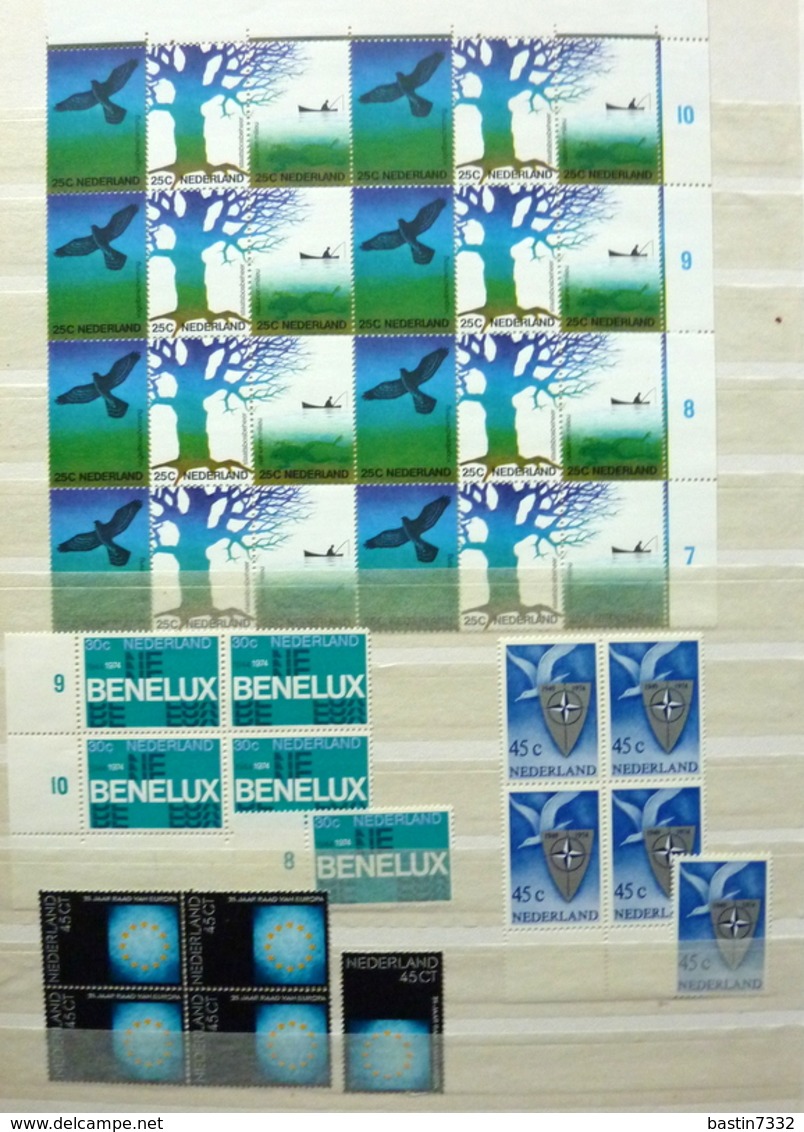 Netherlands/Pays-Bas/Holland collection in 4 stockbooks MNH/MH/Postfris/Ongebruikt/Neuf avec/sans charniere