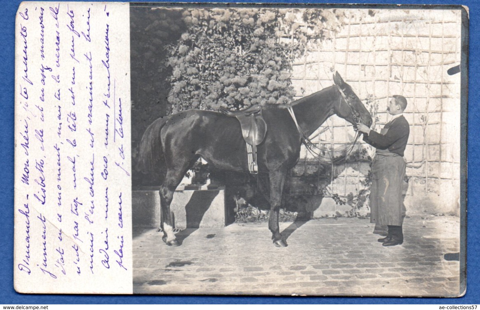 Melun --  Carte Photo  --homme Avec Son Cheval  -1903 - Melun