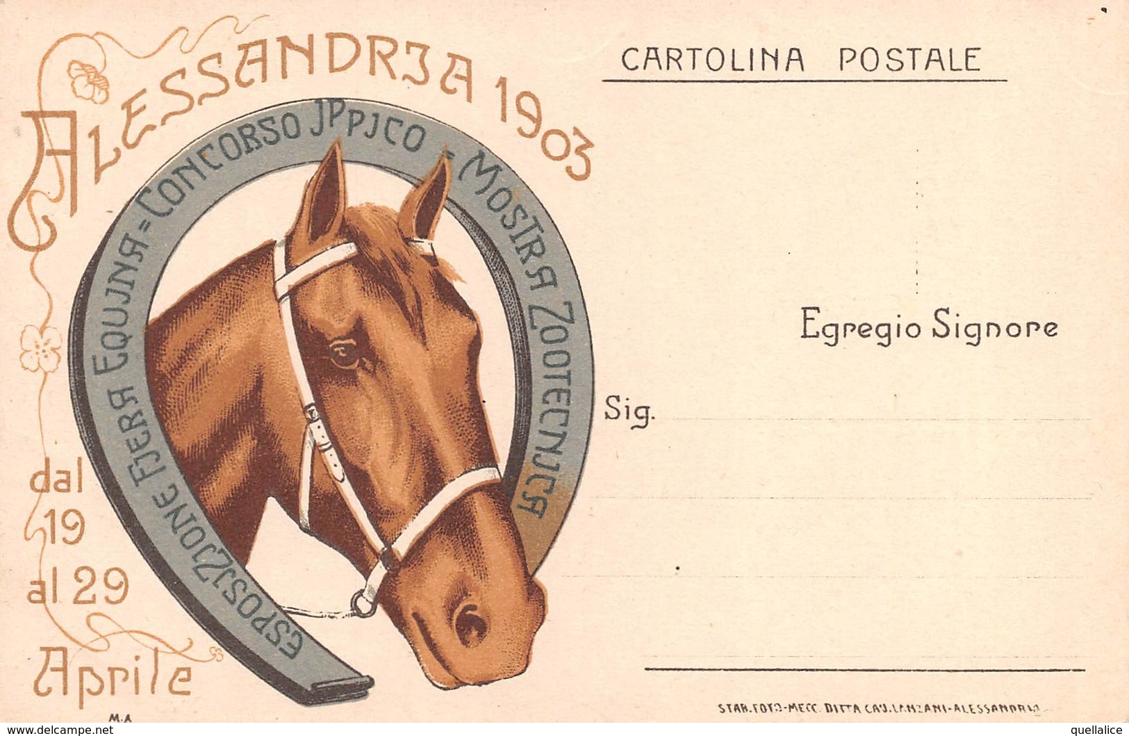 0648 "ALESSANDRIA 1903 - ESPOSIZIONE FIERA EQUINA - CONCORSO IPPICO - MOSTRA ZOOTECNICA" CAVALLO. CART  NON SPED - Manifestaciones