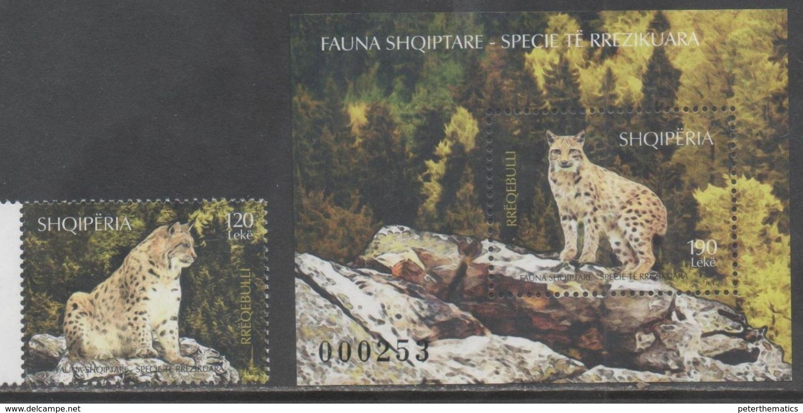 ALBANIA, 2017, MNH,FAUNA, FELINES, LYNX, 1v+S/SHEET - Raubkatzen