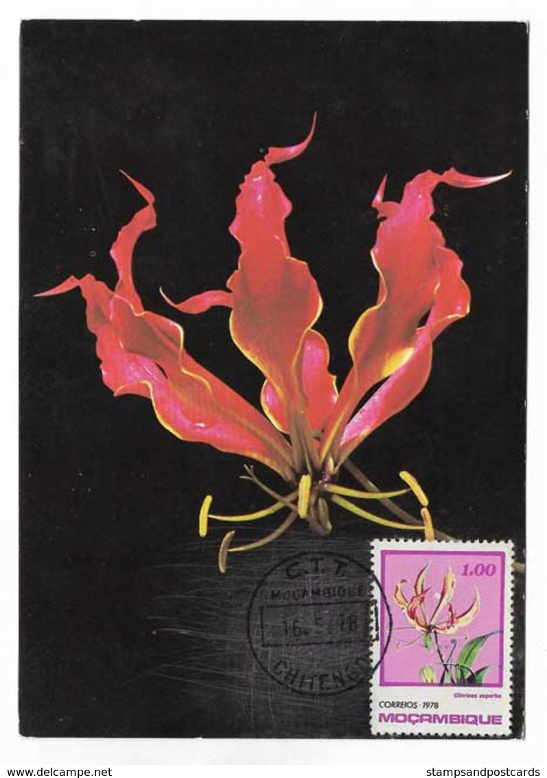 Mozambique Fleur Gloriosa Superba Carte Maximum 1978 Flame Lily Flower Maxicard Moçambique - Mozambique