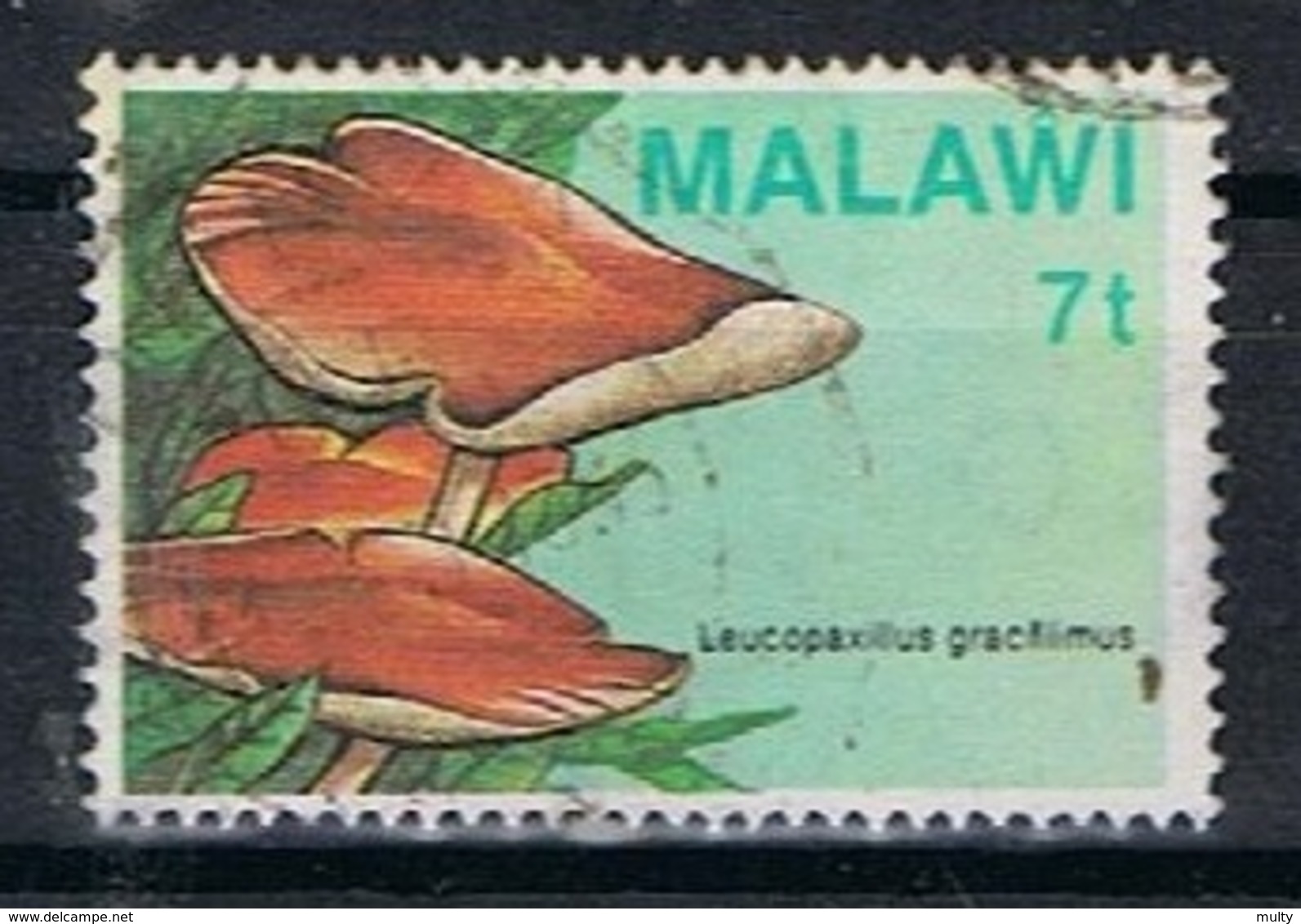 Malawi Y/T 445 (0) - Malawi (1964-...)