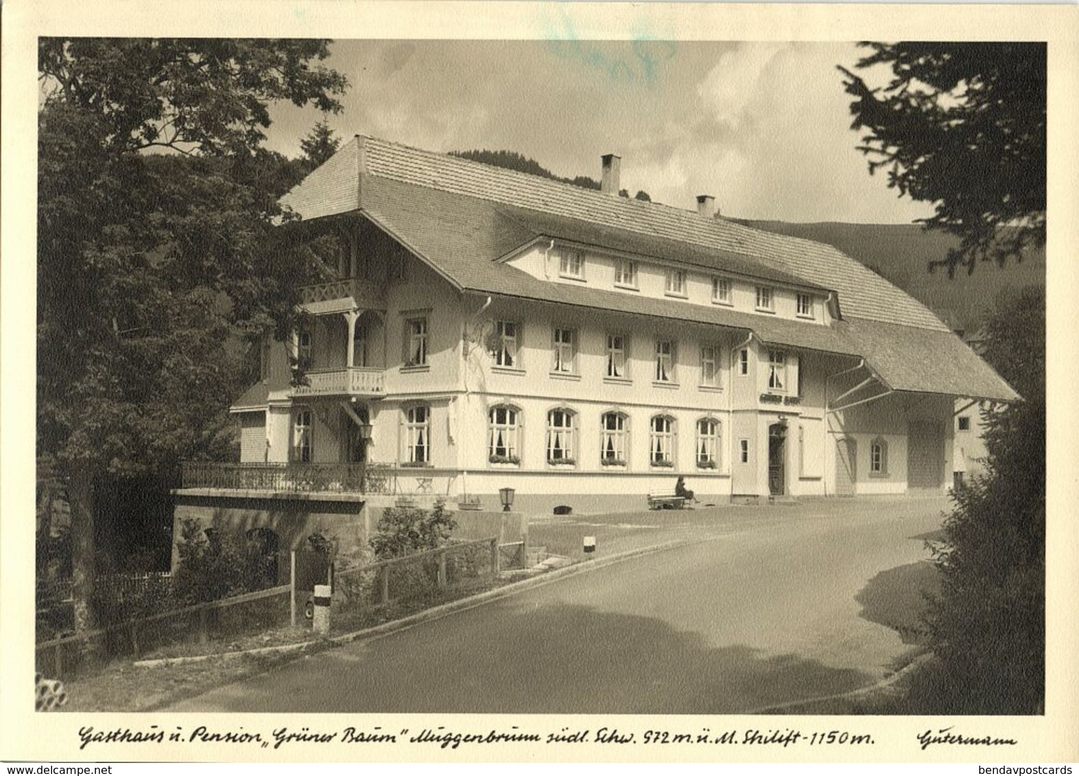 MUGGENBRUNN, Todtnau, Gasthaus Und Pension Grüner Baum (1950s) AK - Todtnau