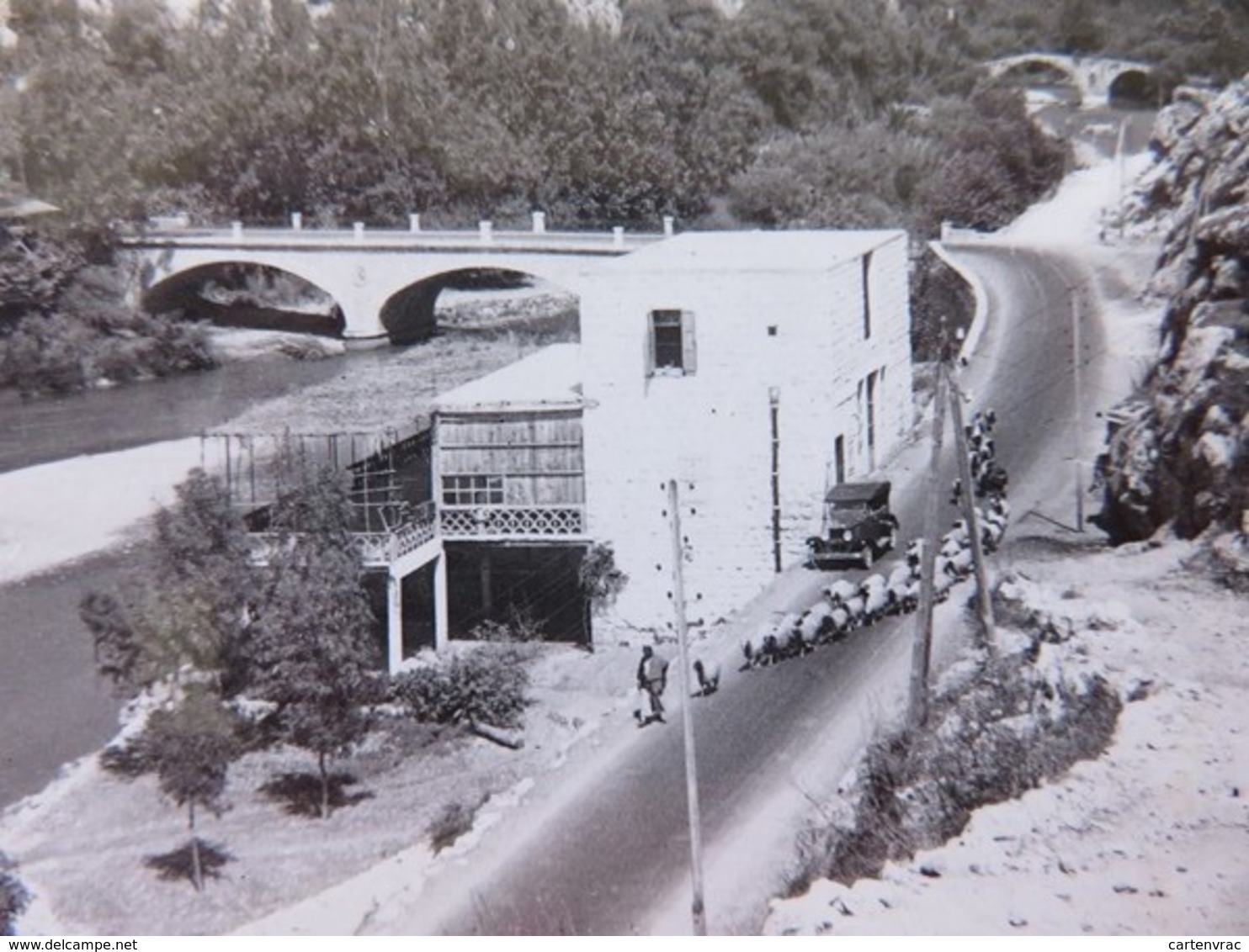 Liban - Carte Postale - Le Pont Nahr-el-Khalb - Vue Sur Les 3 Ponts - Pont Ferroviaire - Tacot + Troupeau Brebis - Libano