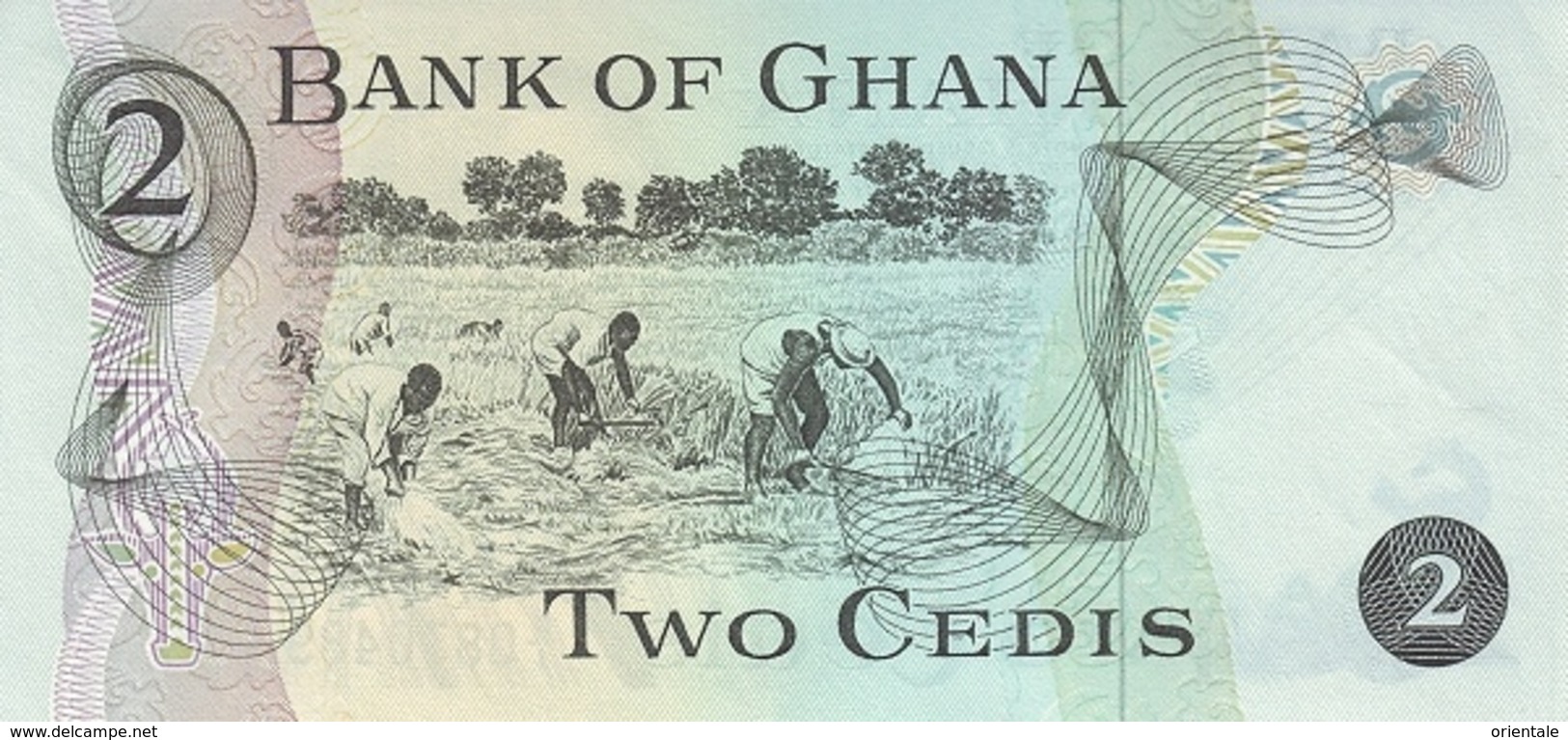 GHANA P. 14c 2 C 1978 UNC - Ghana