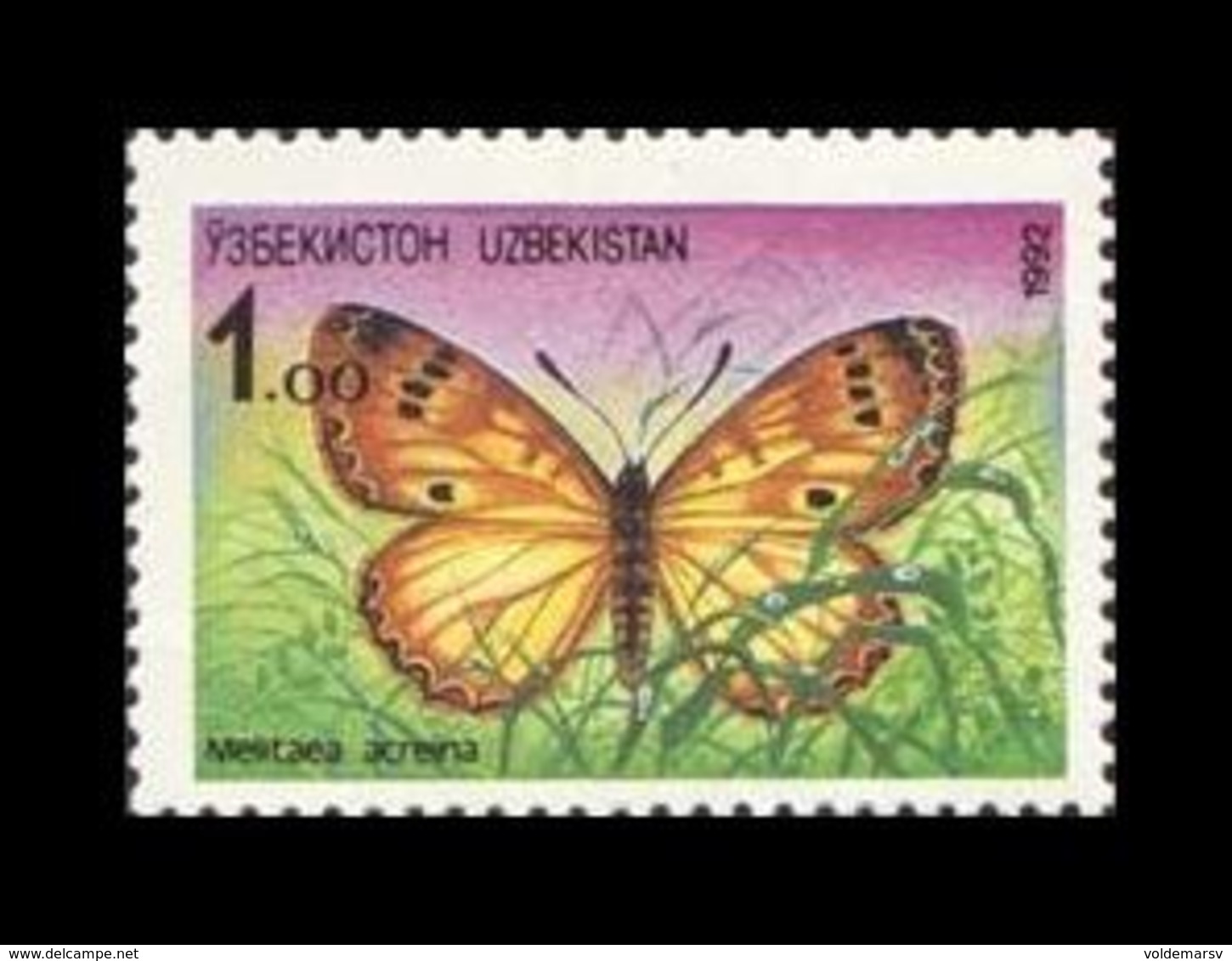 Uzbekistan 1992 Mih. 2 Fauna. Butterfly. Melitaea Acraeina MNH ** - Uzbekistan