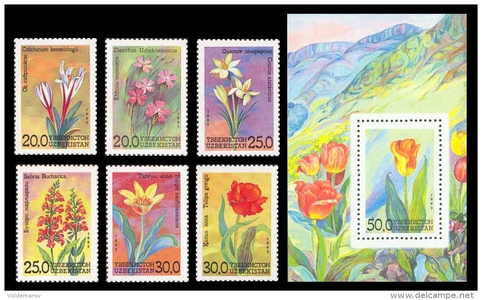 Uzbekistan 1993 Mih. 35/40 + 41 (Bl.2) Flora. Flowers MNH ** - Uzbekistan