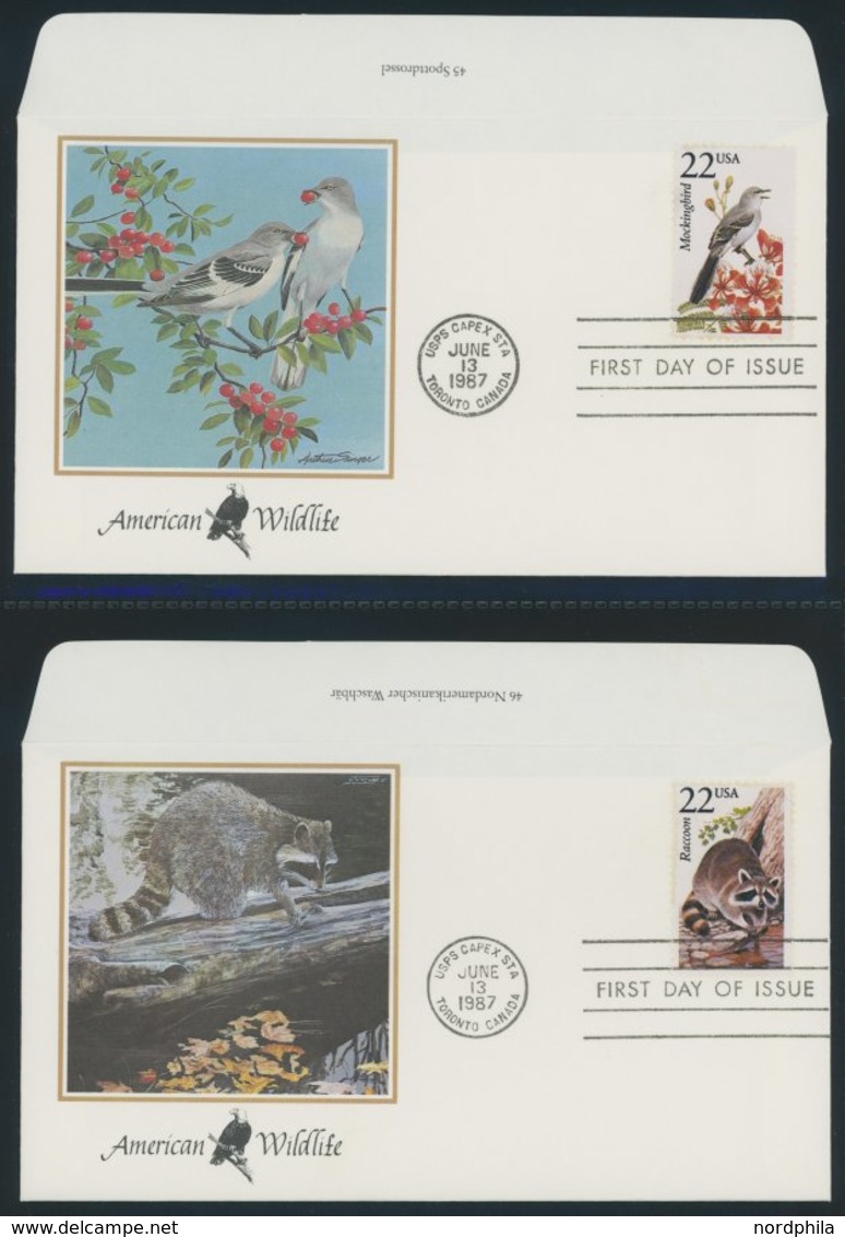 SONSTIGE MOTIVE Brief,** , 1987,Wildlife America - Amerikanisches Tierleben Im Spezial Ringbinder, Dabei 50 Verschiedene - Ohne Zuordnung