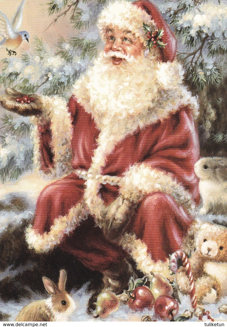 Santa Claus Feeding A Little Bird - Santa Claus