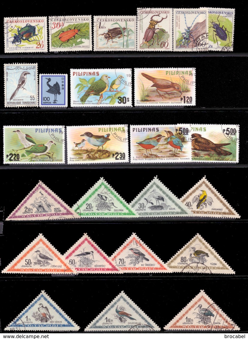 Lot Oiseaux - 120 Timbres(o) - Eagles & Birds Of Prey