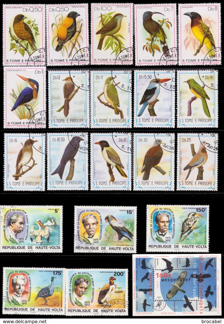 Lot oiseaux - 120 timbres(o)