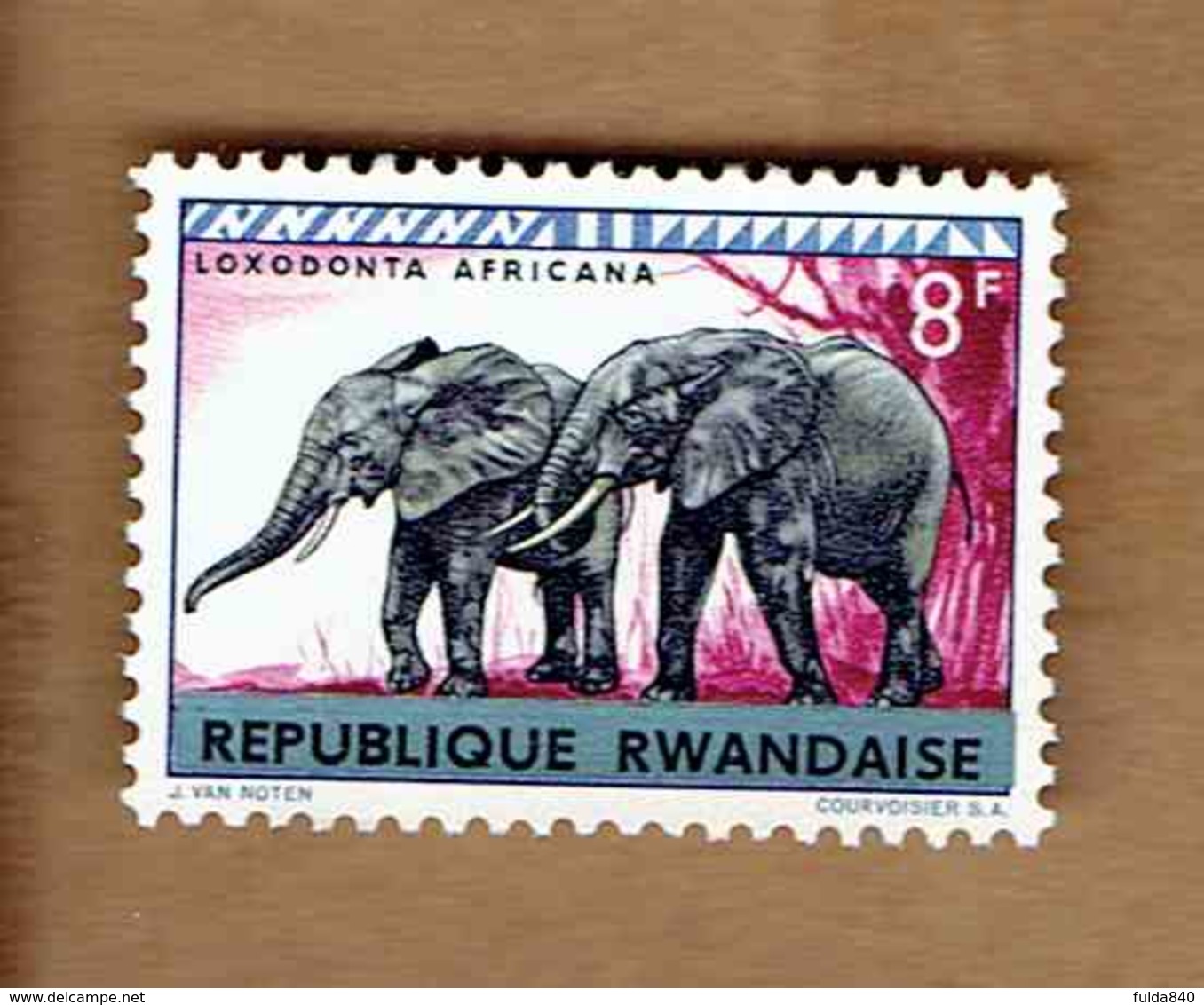 REPUBLIQUE RWANDAISE.(COB-OBP) 1964 - N°63   *ANIMAUX SAUVAGES  *   8F- Neuf - Unused Stamps