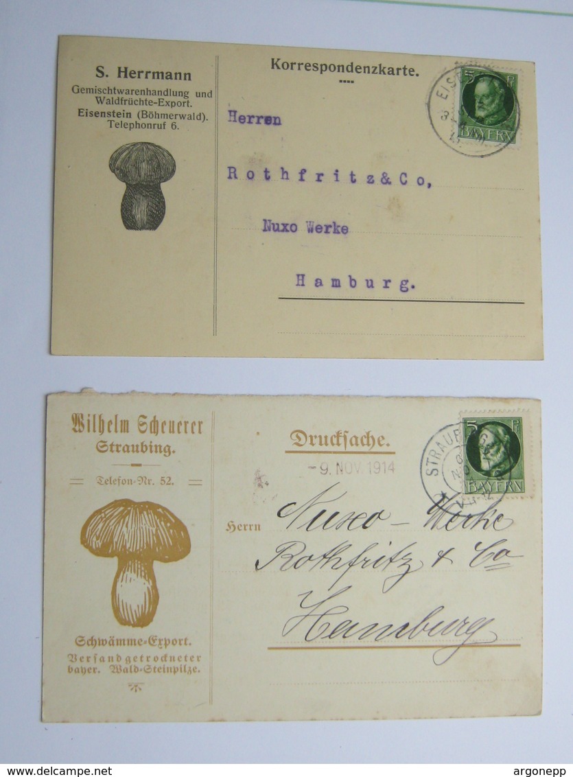 PILZE , 2 Firmenkarten Aus Straubing + Eisenstein - Postal  Stationery