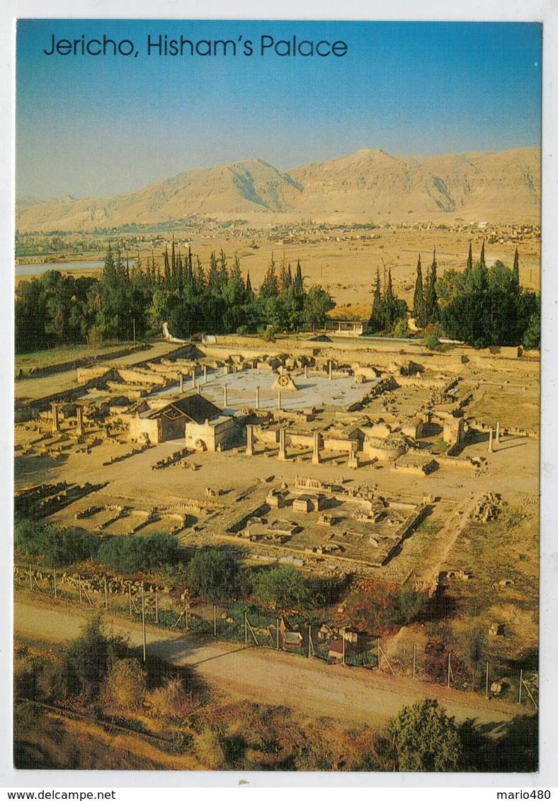 MAXICARD      JERICHO    -HISHAM'S   PALACE  BIRD'S EYE  VIEW    (NUOVA) - Israel