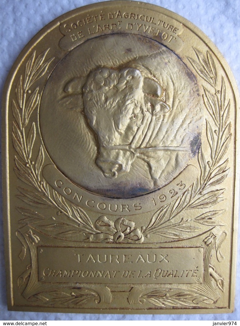 Médaille Taureaux Championnat De La Qualité, Concours 1923, Yvetot .76 - Seine-Maritime - Other & Unclassified