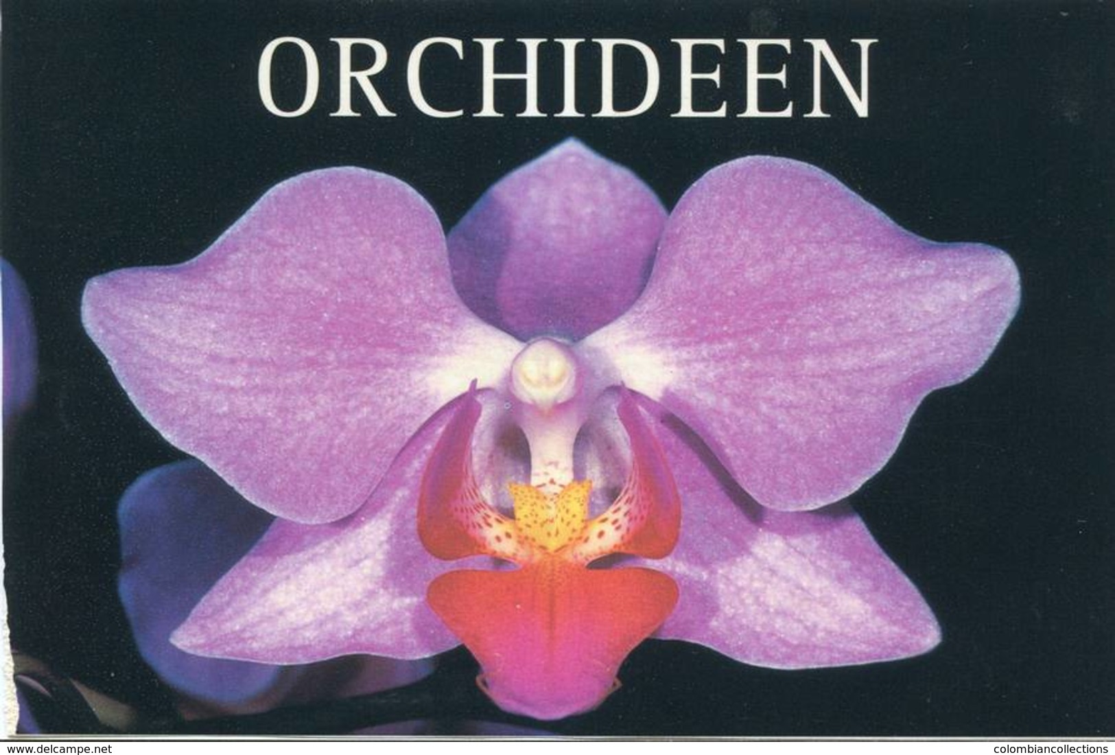 Lote PEP1066, Alemania, 1998, Postal, Postcard, Orquideas, Orchid - Otros & Sin Clasificación