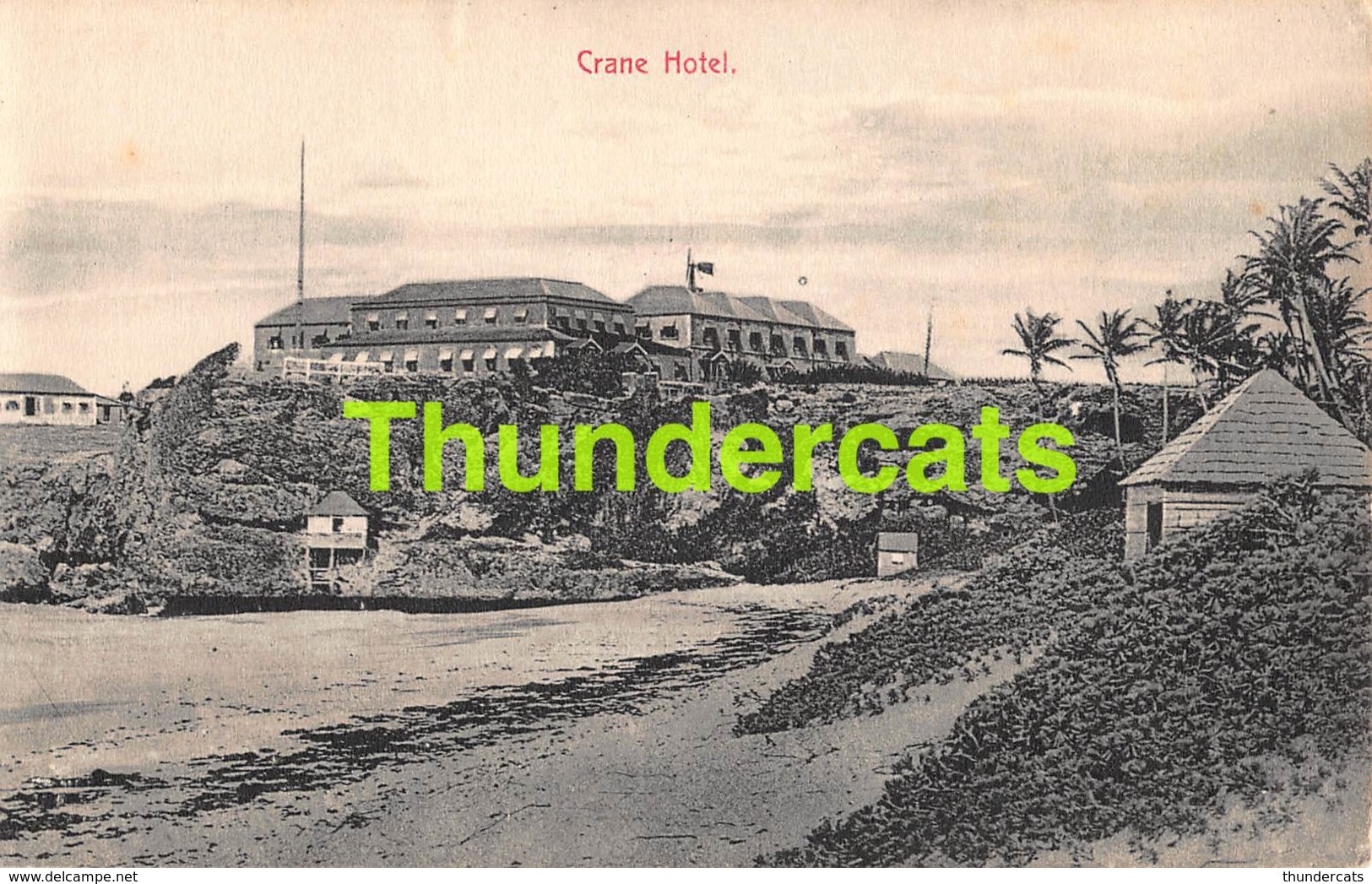 CPA BARBADOS CRANE HOTEL - Barbados