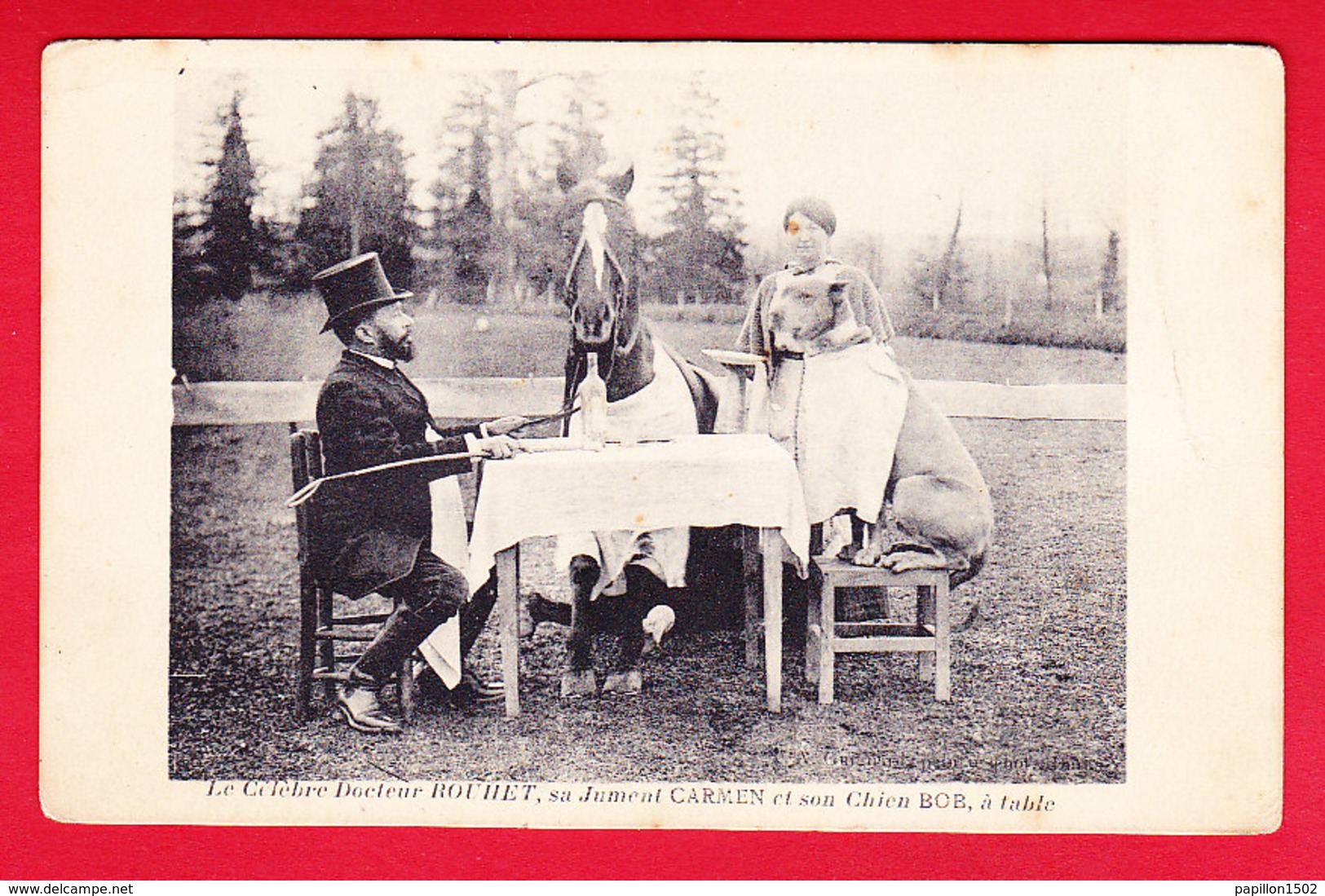 F-47-Duras-03P84 Le Célèbre Docteur ROUHET, Sa Jument Carmen Et Son Chien Bob à Table, Cpa - Autres & Non Classés