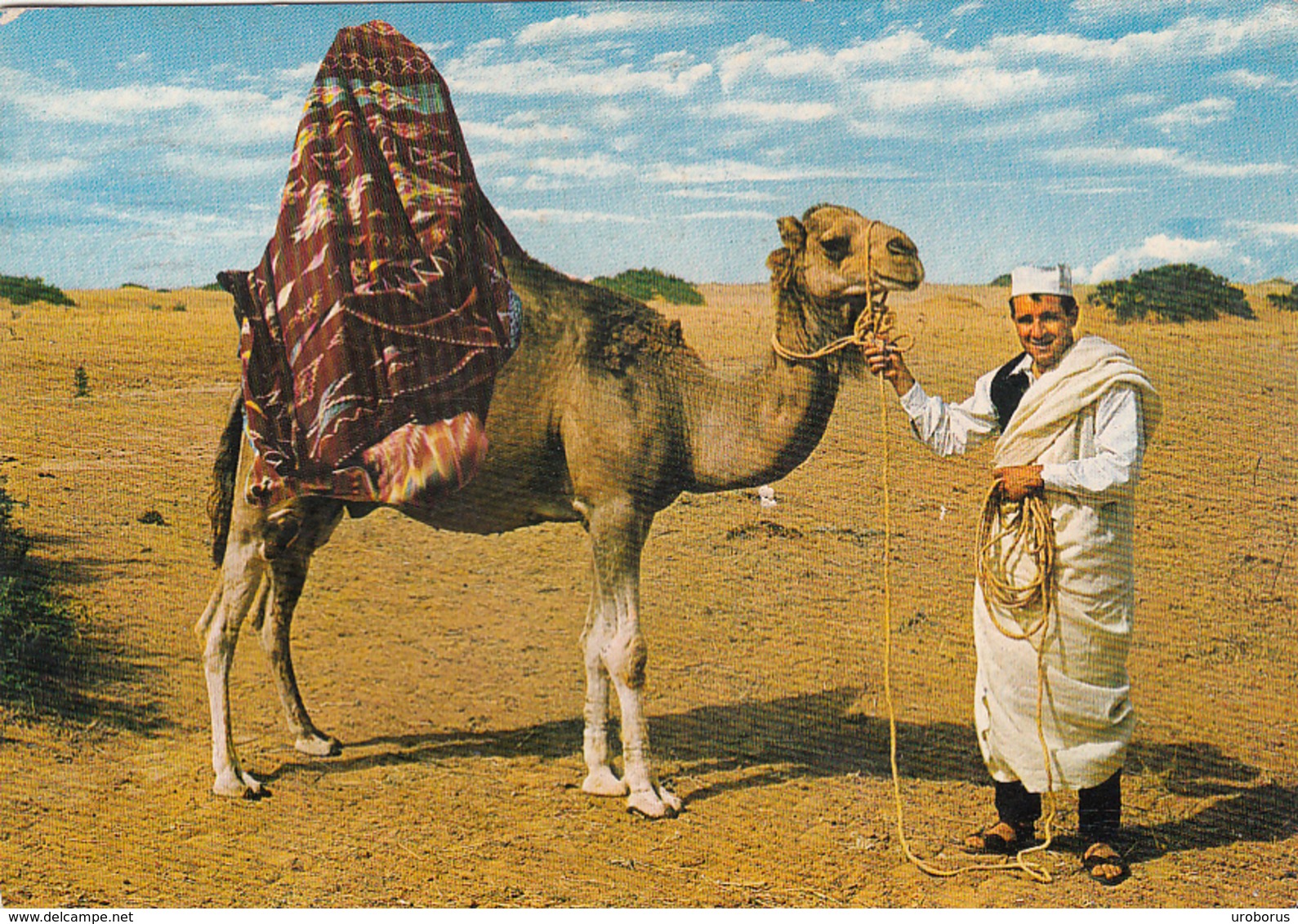 LIBYA - Veduta Desertica 1977 - Libya