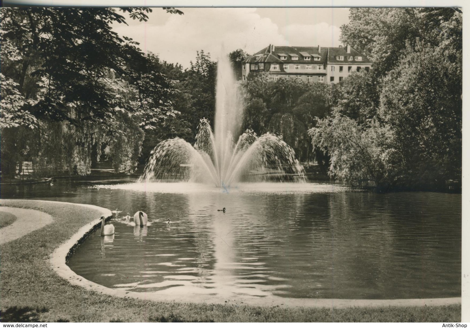 Bad Hersfeld V. 1969  Kurparkteich  (2946) - Bad Hersfeld