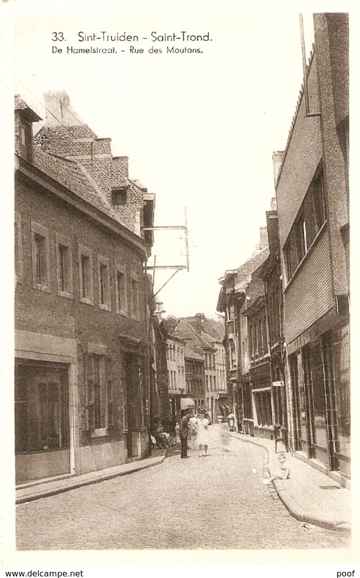 Sint-Truiden / St. Trond : De Hamelstraat - Sint-Truiden