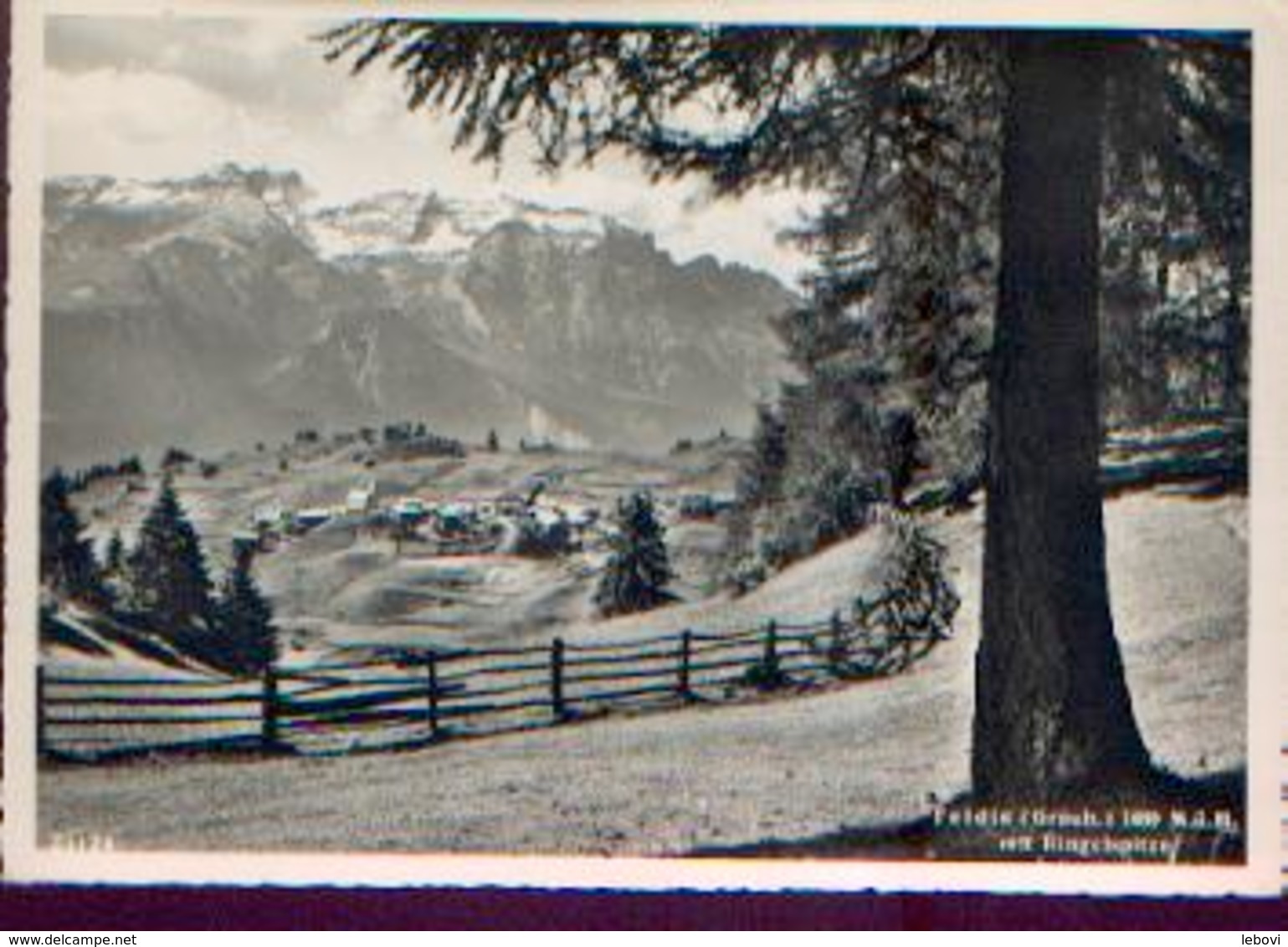 SUISSE – «  FELDIS (Graub.) 1480 M.ü.M. Mit Ringelspitze » - Velag FOTOGROSS, Sint-Gallen (1951 - Feldis/Veulden