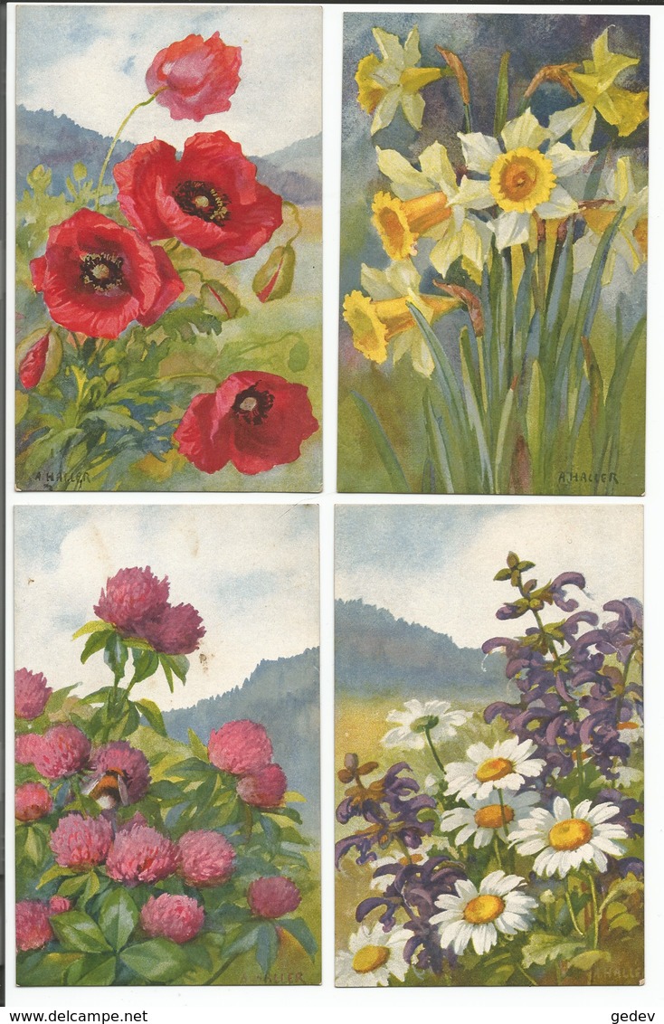 Haller A, Fleurs Sauvages, 12 Cartes  (12x 301) - Haller, A.