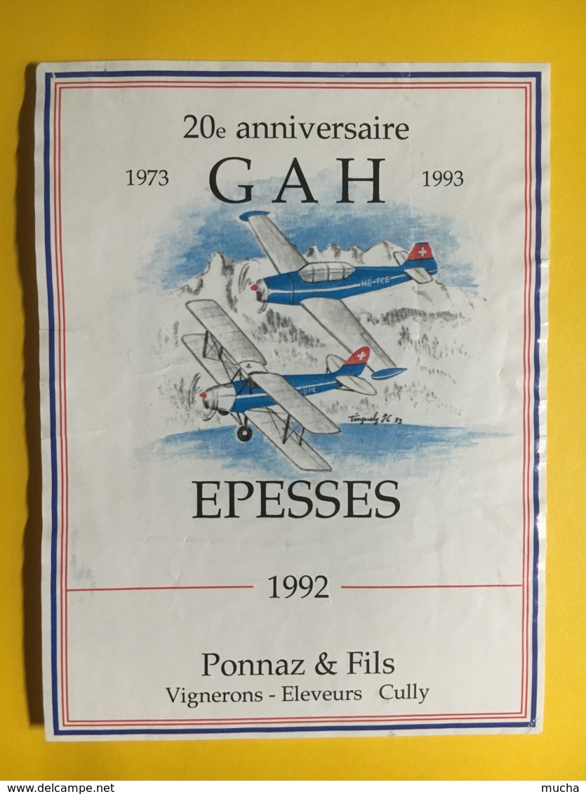 9005 - 20e Anniversaire GAH 1973-1993 Epesses 1992 Ponnaz Cully - Flugzeuge