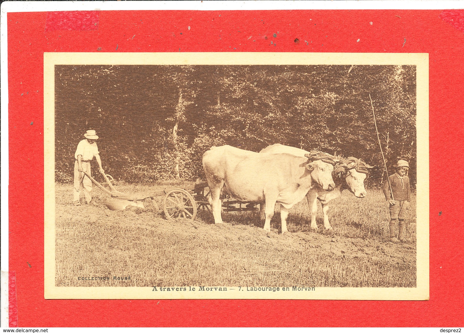 EN MORVAN Cpa Animée Le Labourage Attelage De Boeufs   Coll Roudé - Teams