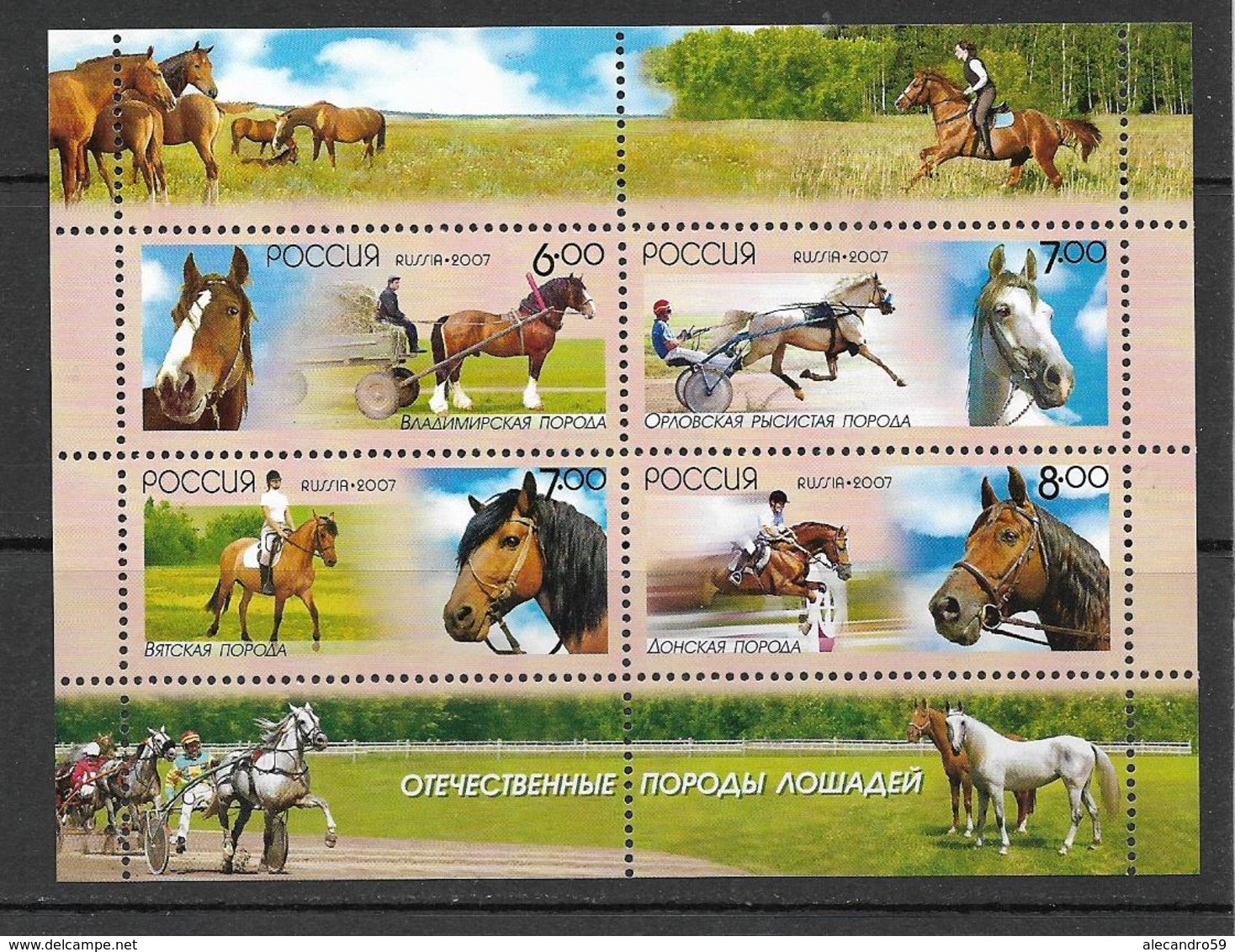 Russia 2007 Domestic Sorts Of The Horses  MNH*** - Neufs